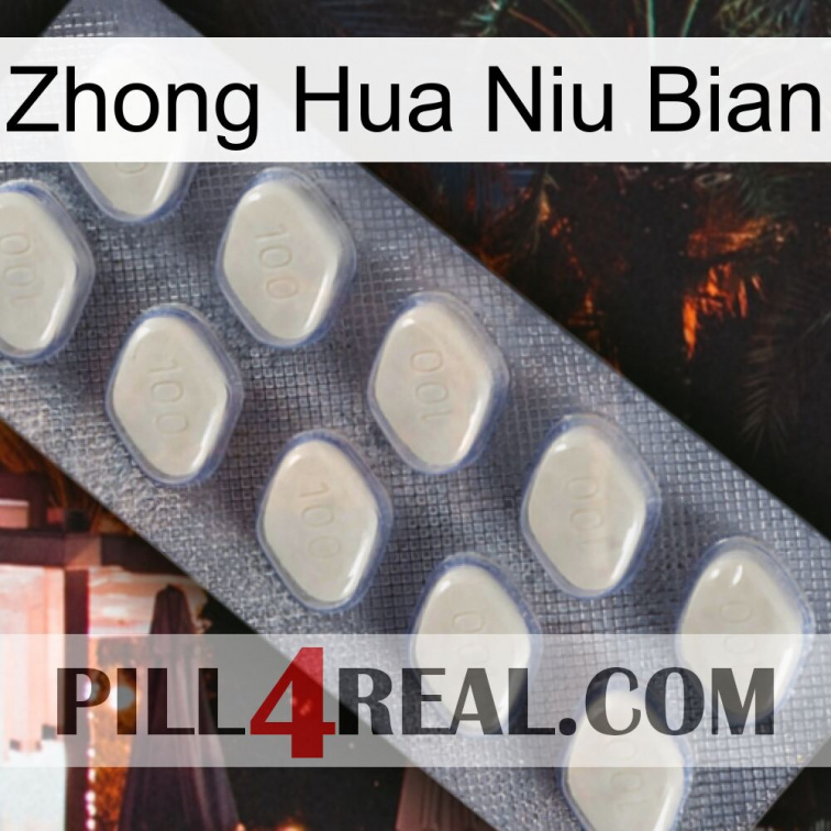 Zhong Hua Niu Bian 08